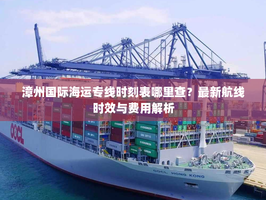 漳州国际海运专线时刻表哪里查？最新航线时效与费用解析