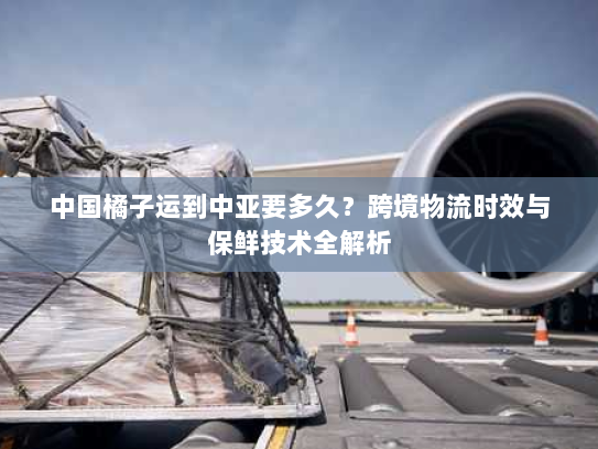 中国橘子运到中亚要多久？跨境物流时效与保鲜技术全解析