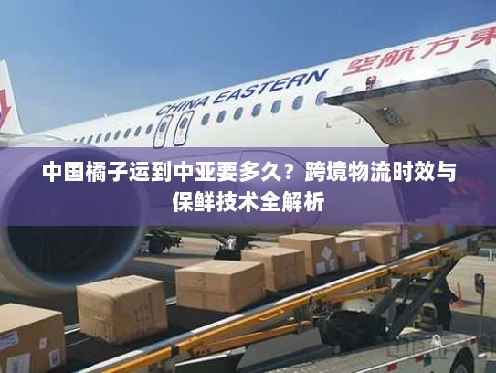中国橘子运到中亚要多久？跨境物流时效与保鲜技术全解析