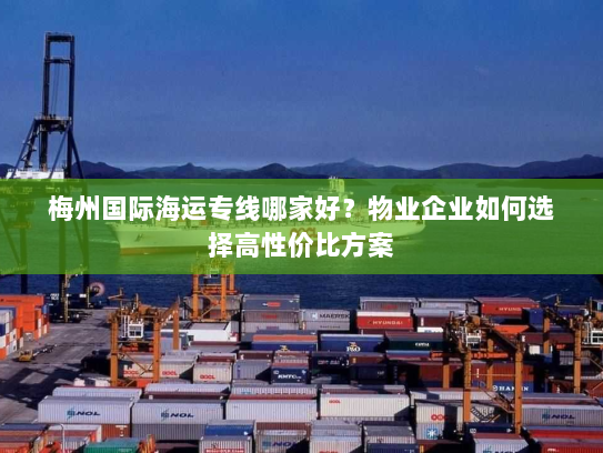 梅州国际海运专线哪家好？物业企业如何选择高性价比方案