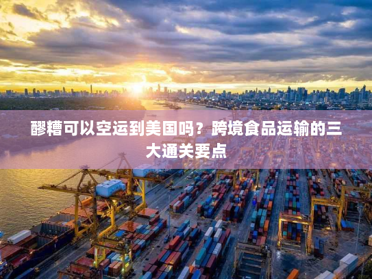 醪糟可以空运到美国吗？跨境食品运输的三大通关要点