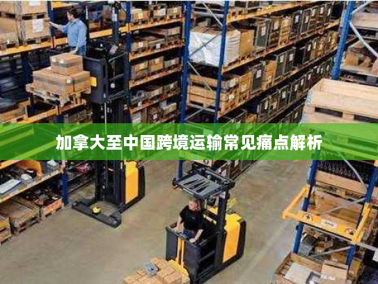 加拿大至中国跨境运输常见痛点解析