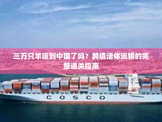 三万只羊运到中国了吗？跨境活体运输的完整通关指南