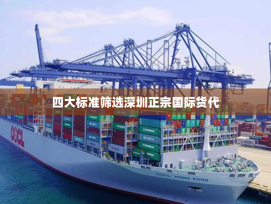四大标准筛选深圳正宗国际货代