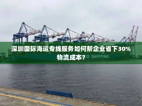 深圳国际海运专线服务如何帮企业省下30%物流成本？