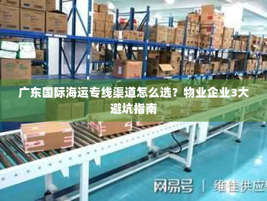 广东国际海运专线渠道怎么选?物业企业3大避坑指南 广东国际海运专线渠道怎么选?物业企业3大避坑指南
