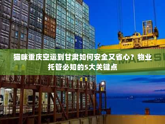 猫咪重庆空运到甘肃如何安全又省心？物业托管必知的5大关键点