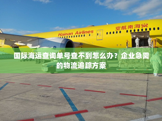 国际海运查询单号查不到怎么办？企业急需的物流追踪方案