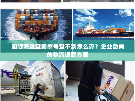 国际海运查询单号查不到怎么办？企业急需的物流追踪方案