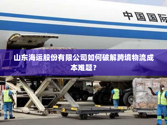 山东海运股份有限公司如何破解跨境物流成本难题? 山东海运股份有限公司如何破解跨境物流成本难题?