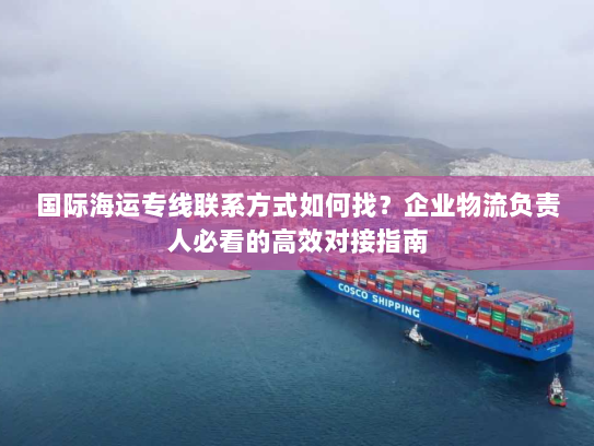 国际海运专线联系方式如何找？企业物流负责人必看的高效对接指南