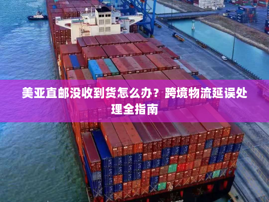 美亚直邮没收到货怎么办？跨境物流延误处理全指南