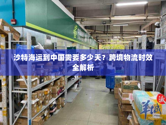 沙特海运到中国需要多少天？跨境物流时效全解析