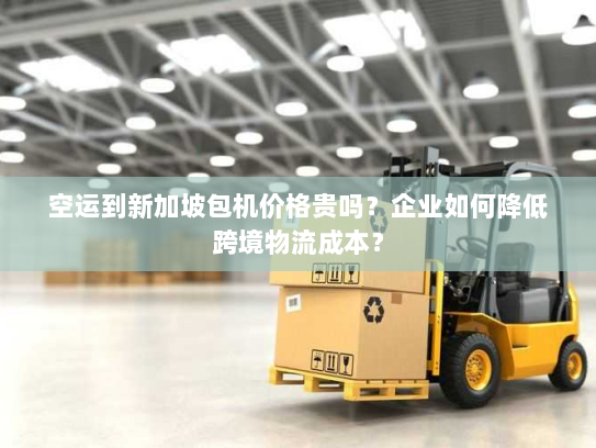 空运到新加坡包机价格贵吗？企业如何降低跨境物流成本？