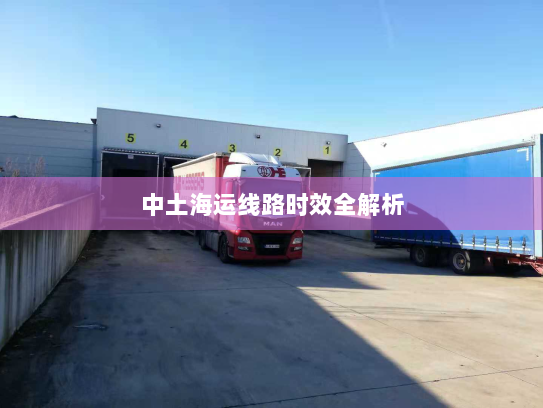 中土海运线路时效全解析