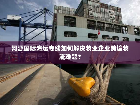 河源国际海运专线如何解决物业企业跨境物流难题？