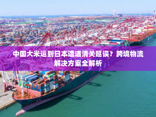 中国大米运到日本遭遇清关延误？跨境物流解决方案全解析