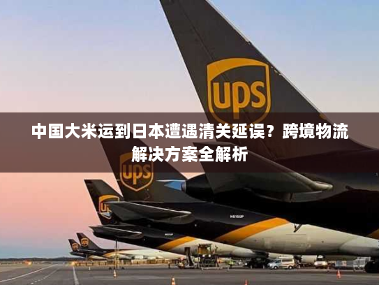 中国大米运到日本遭遇清关延误？跨境物流解决方案全解析