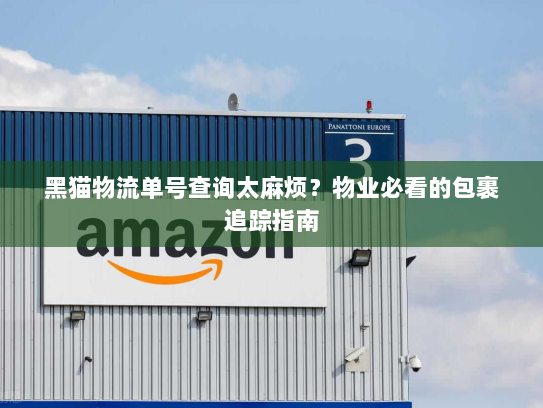 黑猫物流单号查询太麻烦？物业必看的包裹追踪指南