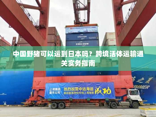 中国野猪可以运到日本吗？跨境活体运输通关实务指南