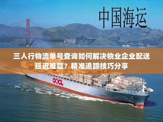 三人行物流单号查询如何解决物业企业配送延迟难题？精准追踪技巧分享