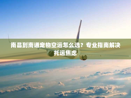 南昌到南通宠物空运怎么选？专业指南解决托运焦虑