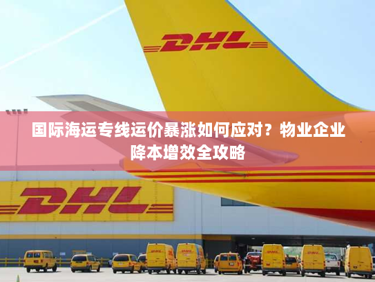 国际海运专线运价暴涨如何应对？物业企业降本增效全攻略