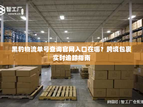 黑豹物流单号查询官网入口在哪?跨境包裹实时追踪指南 黑豹物流单号查询官网入口在哪?跨境包裹实时追踪指南