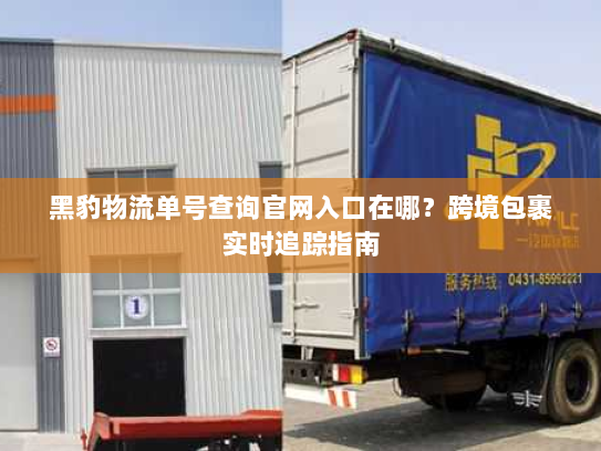 黑豹物流单号查询官网入口在哪?跨境包裹实时追踪指南 黑豹物流单号查询官网入口在哪?跨境包裹实时追踪指南