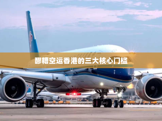 醪糟空运香港的三大核心门槛