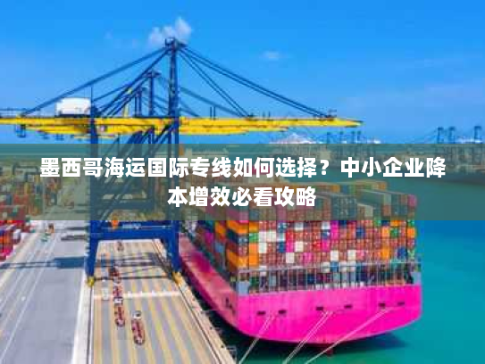 墨西哥海运国际专线如何选择？中小企业降本增效必看攻略