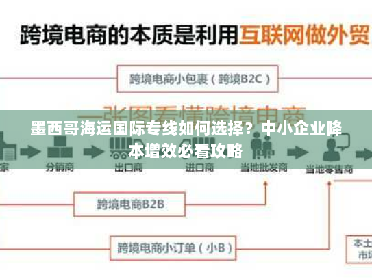 墨西哥海运国际专线如何选择？中小企业降本增效必看攻略