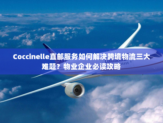 Coccinelle直邮服务如何解决跨境物流三大难题？物业企业必读攻略
