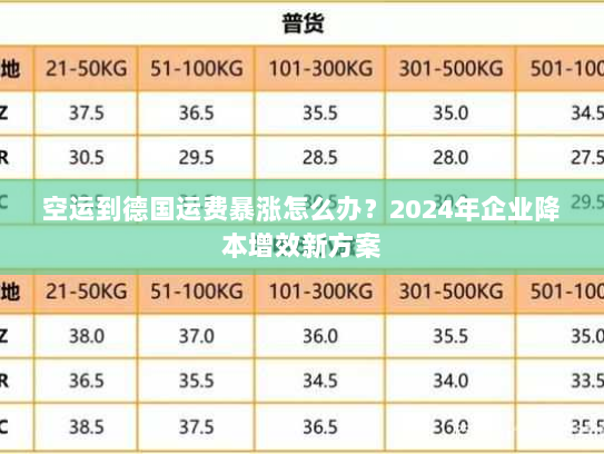 空运到德国运费暴涨怎么办？2024年企业降本增效新方案