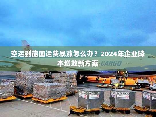 空运到德国运费暴涨怎么办？2024年企业降本增效新方案