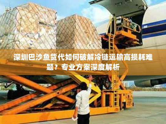 深圳巴沙鱼货代如何破解冷链运输高损耗难题？专业方案深度解析