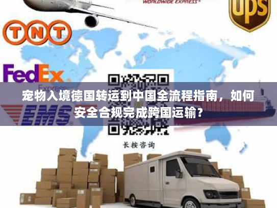 宠物入境德国转运到中国全流程指南，如何安全合规完成跨国运输？