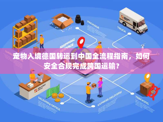 宠物入境德国转运到中国全流程指南，如何安全合规完成跨国运输？