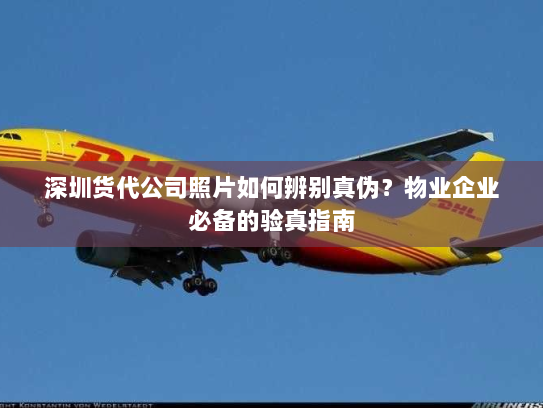 深圳货代公司照片如何辨别真伪?物业企业必备的验真指南 深圳货代公司照片如何辨别真伪?物业企业必备的验真指南
