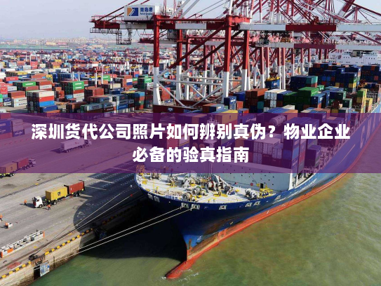深圳货代公司照片如何辨别真伪?物业企业必备的验真指南 深圳货代公司照片如何辨别真伪?物业企业必备的验真指南