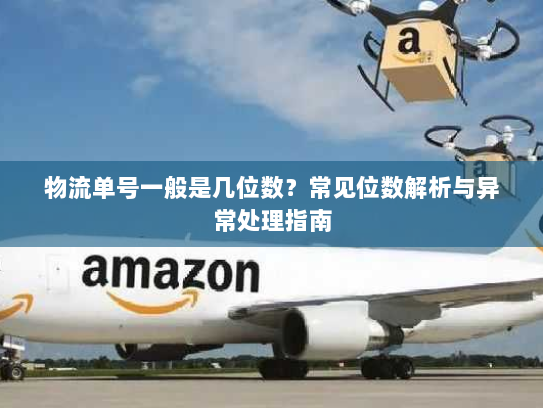物流单号一般是几位数?常见位数解析与异常处理指南 物流单号一般是几位数?常见位数解析与异常处理指南