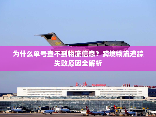 为什么单号查不到物流信息？跨境物流追踪失败原因全解析