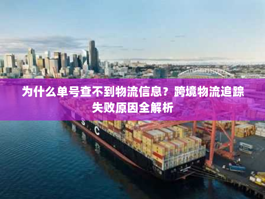 为什么单号查不到物流信息？跨境物流追踪失败原因全解析