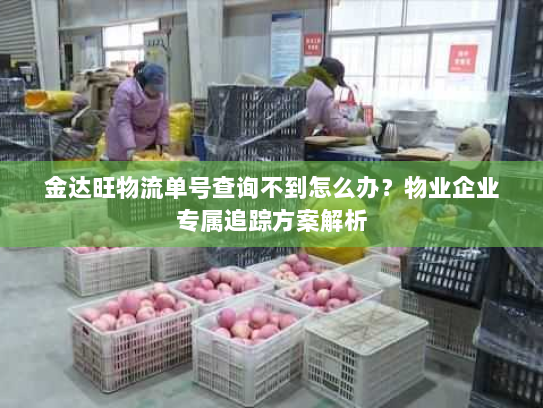 金达旺物流单号查询不到怎么办？物业企业专属追踪方案解析