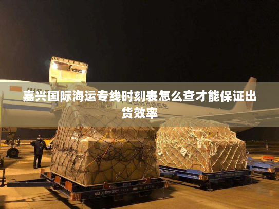 嘉兴国际海运专线时刻表怎么查才能保证出货效率 嘉兴国际海运专线时刻表怎么查才能保证出货效率