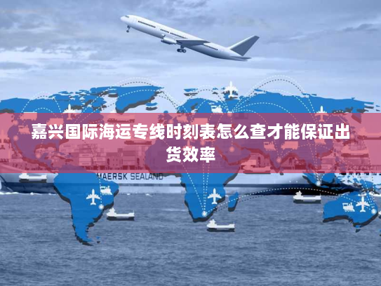 嘉兴国际海运专线时刻表怎么查才能保证出货效率
