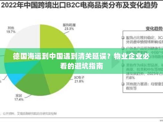 德国海运到中国遇到清关延误？物业企业必看的避坑指南
