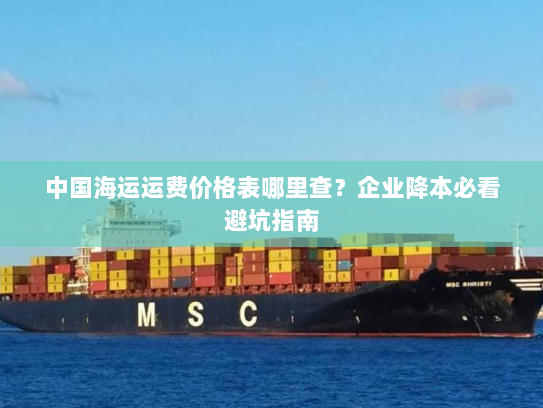 中国海运运费价格表哪里查?企业降本必看避坑指南 中国海运运费价格表哪里查?企业降本必看避坑指南