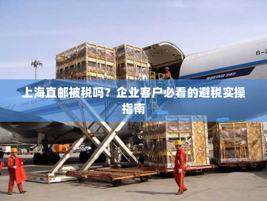 上海直邮被税吗？企业客户必看的避税实操指南