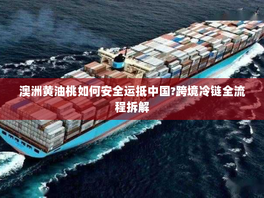 澳洲黄油桃如何安全运抵中国?跨境冷链全流程拆解